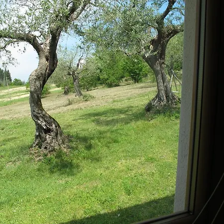 Σπίτι διακοπών Nel Verde Νάρνη